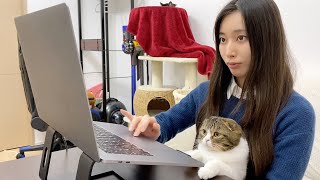 かまってちゃんな猫を放置して在宅勤務していたら一緒に仕事してくれましたw