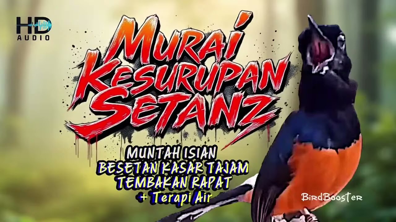 12 JAM MASTER KRETEKAN EMOSI MURAI BATU GACOR NEMBAK ISIAN KASAR TAJAM!!