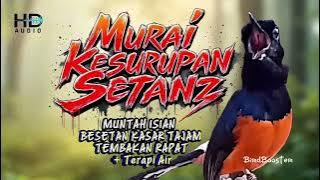 12 JAM MASTER KRETEKAN EMOSI MURAI BATU GACOR NEMBAK ISIAN KASAR TAJAM!!