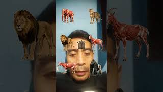 agar lebih mengenal binatang