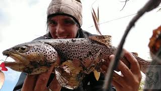 PESCA DE TRUCHAS marrones con cucharilla río Collon Cura..Neuquén Argentina.. día 1