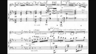 Guillaume Lekeu - Violin Sonata in G (1892/93)