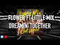 Flower FT Little Mix - Dreamin’ Together (Empty Arena)
