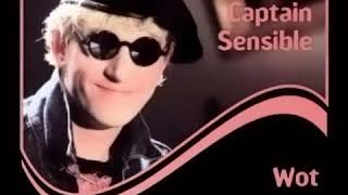 Video thumbnail of "Captain Sensible - Wot (the only extended version)"