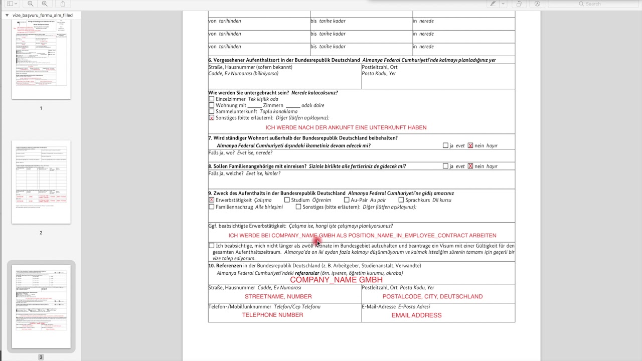 Almanya Ulusal Vize Basvuru Formu Nasil Doldurulur Ornek Form