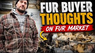 Is the Fur Market Bouncing Back? 2026 Price Predictions