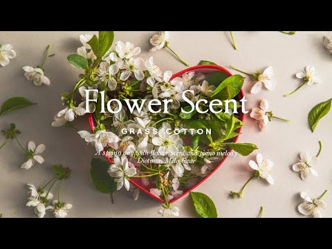 Видео: Весенний день с ароматом цветов и мелодией фортепиано l GRASS COTTON+