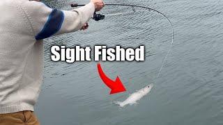 Fishing for Grey Mullet using Bread | The Fal Anglers