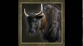 Age of Empires III - Yak Quotes