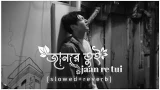 জানরে তুই ||❤ new trending bangla sad song  [slowed+reverb] lofi music song🌼🍁