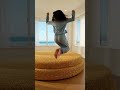 She Runs and Jumps on the Strangest Beds Ever! 😱🛏️ | Oddly Satisfying ASMR#ASMR#short #viralshort