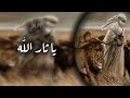 اذان العشق بطيء سيد سلام الحسيني 2024 