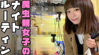 爬虫類女子の夜ルーティン｜帰宅後のリアルな過ごし方