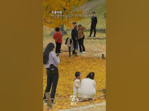 전국달성자랑 : 대구광역시 달성군 - Youtube