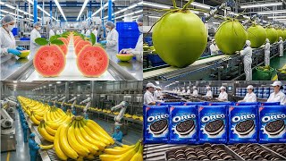 How It’s Made  Inside the Factory Process Videos II Process Vision