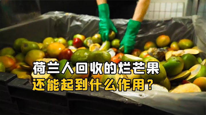 荷蘭人為什麽要大量回收爛掉的芒果？他們要這些爛芒果有什麽用？