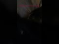 Annoying my cat