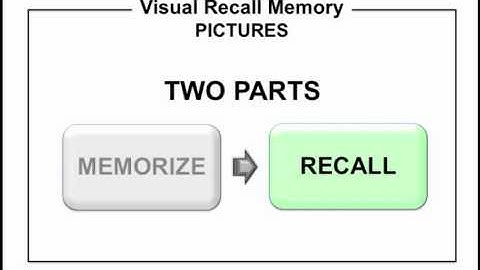 RC21X: Visual Recall Memory (Recall Phase)