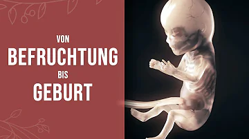 Wie wird das Baby geboren?