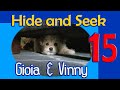 Video 15: Hide and Seek