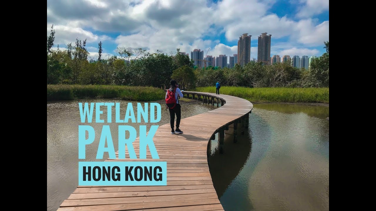 Wetland Park Hong Kong