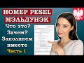 Номер PESEL и Мэльдунэк. Что это? Как сделать иностранцу? Заполняем внёски. Часть 1