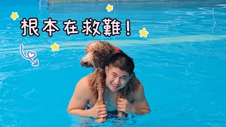 Giant Poodle Swimming For The First Time! Throw Him Straight In the Pool | Ducy & Maxi