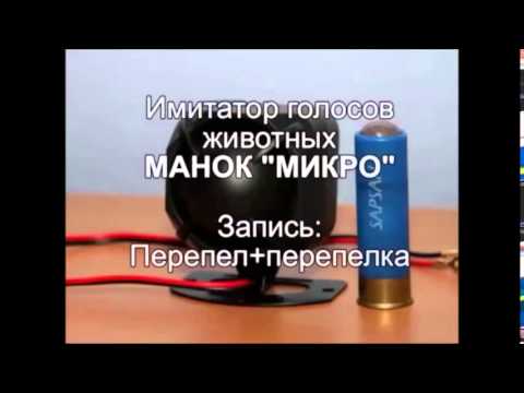 Манки на перепела своими руками 379