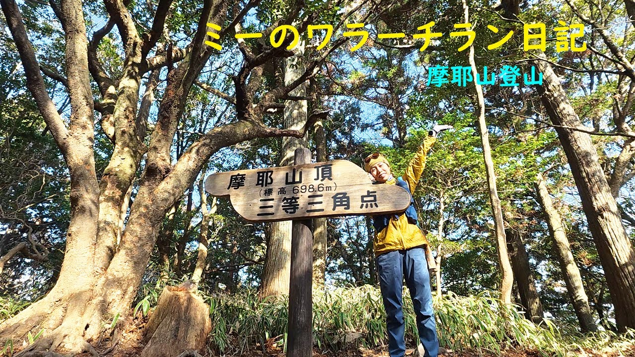 2026年1月19日 六甲山系 摩耶山