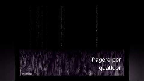 Fragore Per Quattuor (4 Way Split) [Benevolent Pain, 2025)