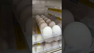 Do eggs need to be refrigerated? ? #travel #traveltrivia #philippines #philippinestravel #eggs