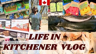 Living In Canada (Kitchener)🇨🇦Discover Hidden Gems: Shopping at Walmart