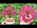 Mini copper wire sakura tree tutorial | artificial  wire sakura flower tree tutorial