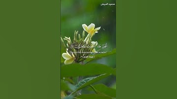 #سورة_النجم #الاستغفار #رمضان