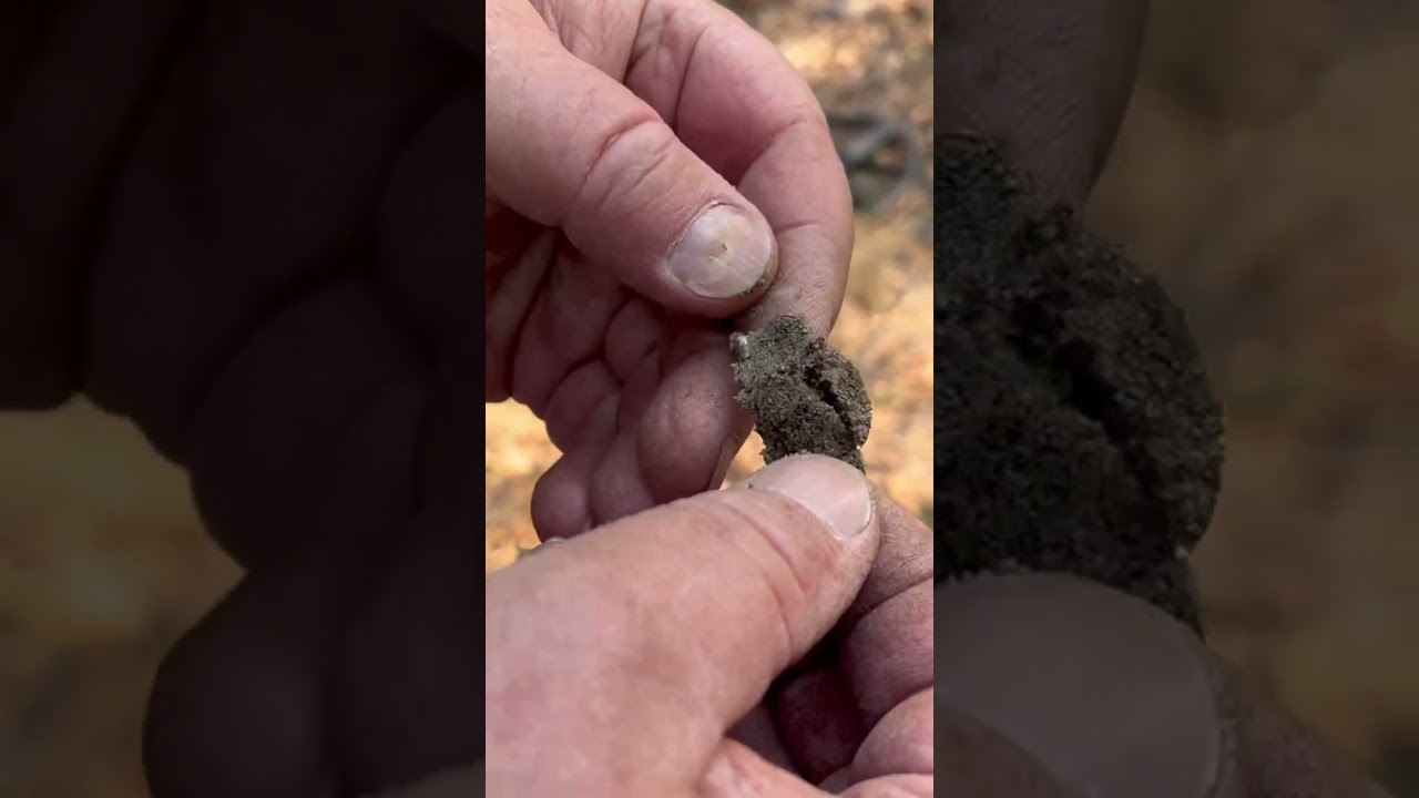 Интересно, кто был президентом? 