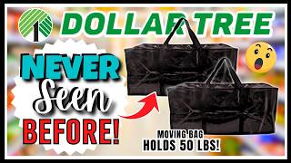 DOLLAR TREE Finds You NEED to HAUL Now! I've NEVER SEEN These Before! GRAB Them Now!