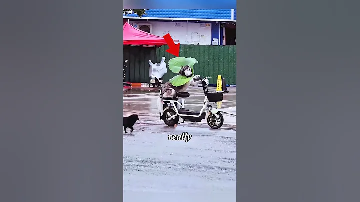 #entertainment #foryou #shorts #short