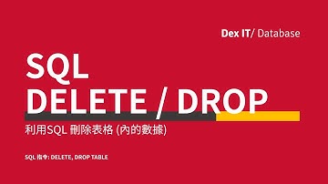 【SQL】 Access SQL DELETE DROP 刪除資料表內的數據 教學 (中文字幕) (可調節速度)