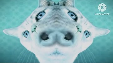 Preview 2 numa cat 2022 V1 to V3 in 6 effects 