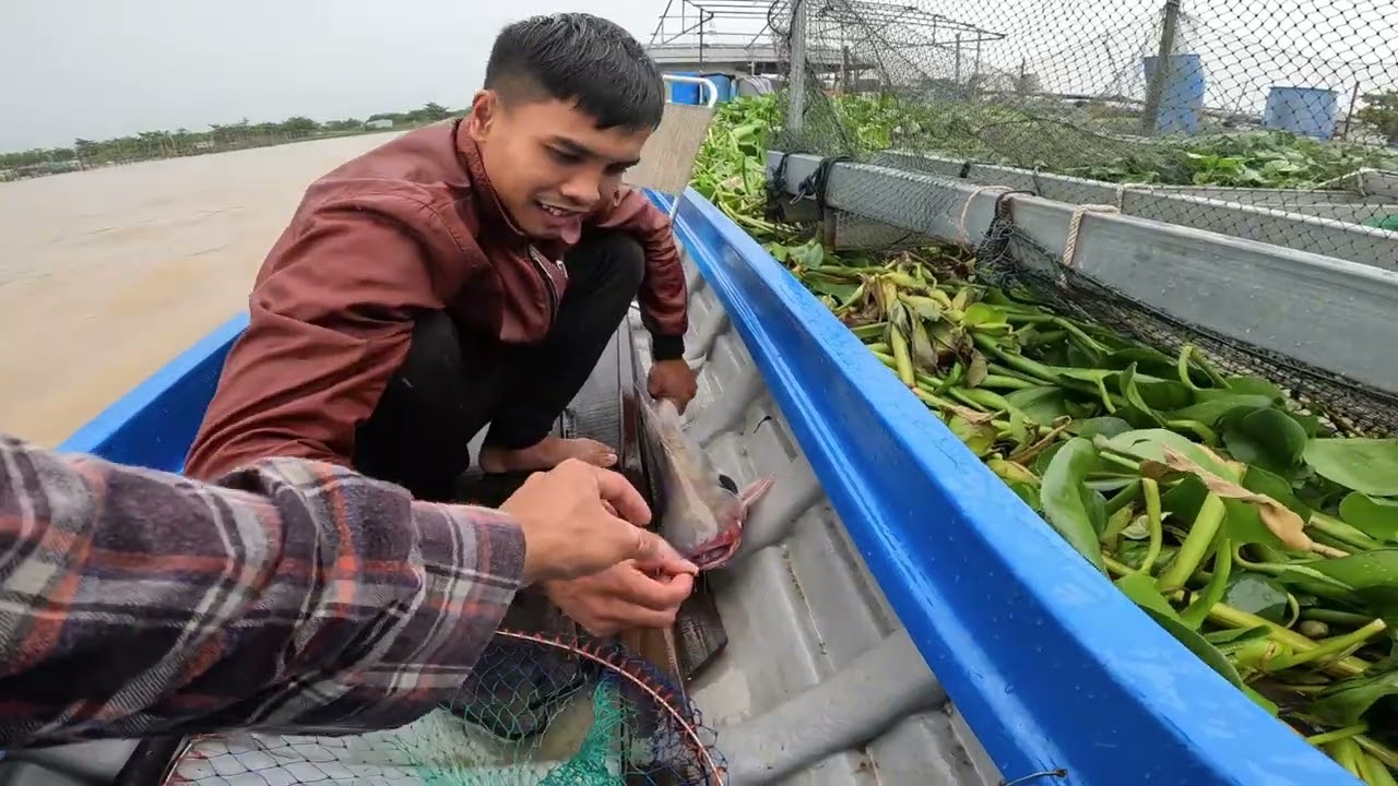 Săn Vồ Đém Tập 1 | Khởi Động Mùa Nước Đổ Bằng Cốt Cỏ Miền Tây