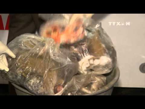 Video Bình Phước phát hiện gần 5 tạ thịt bẩn bốc mùi hôi thối - youtube