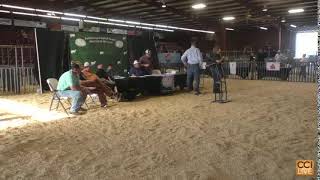 American Dorper Sheep Breeders Society Live Stream