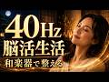 40Hz脳活できる日本の和楽器BGM|静かな集中と読書・作業に寄り添う三味線・琵琶の2時間【Gamma Waves】