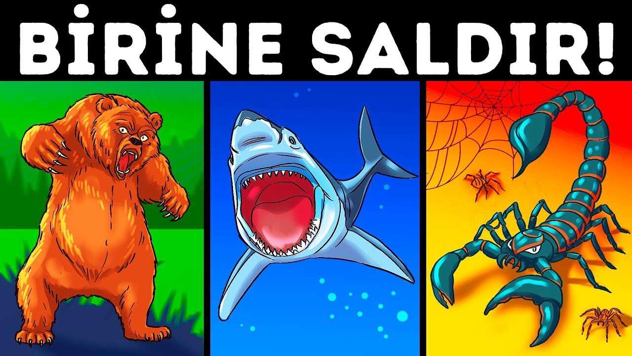 yaratıcılık en güzel hediye apple Yaşamak İçin Çözmeniz Gereken 20 Bilmece