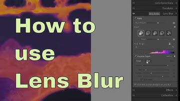 Mastering Lens Blur In Adobe Lightroom: A Step-by-step Guide#wildlifephotograph #wildbirdphotography