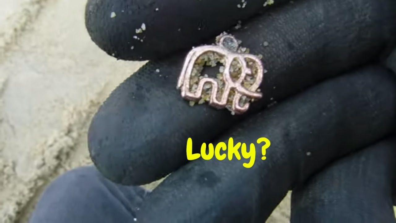 Are Elephants Lucky? YouTube