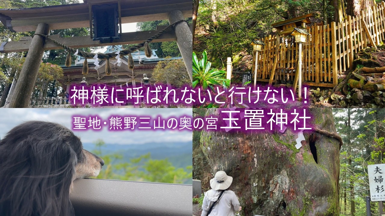 3冊　橘香道　おまとめ浜本末造　玉置神社　天河神社 ほんまでっか！？神様に呼ばれないと行けない、玉置神社【ミニチュア