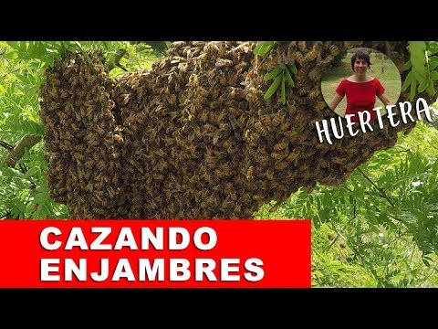 Video: Plástico ABS: características, ventajas y desventajas