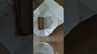 Trying Kunafa: Dubai "premium quality" Pistachio Chocolate