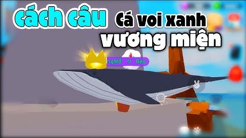 Cách mình câu CÁ VOI RÂU TRẮNG vương miện và một ngày trong game của mình play together
